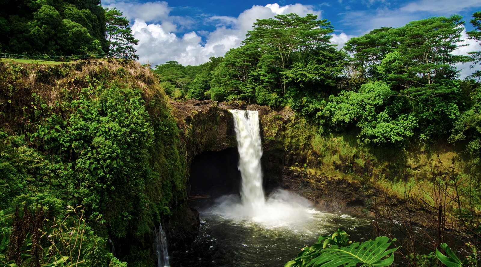 Hawaii | LAT.40