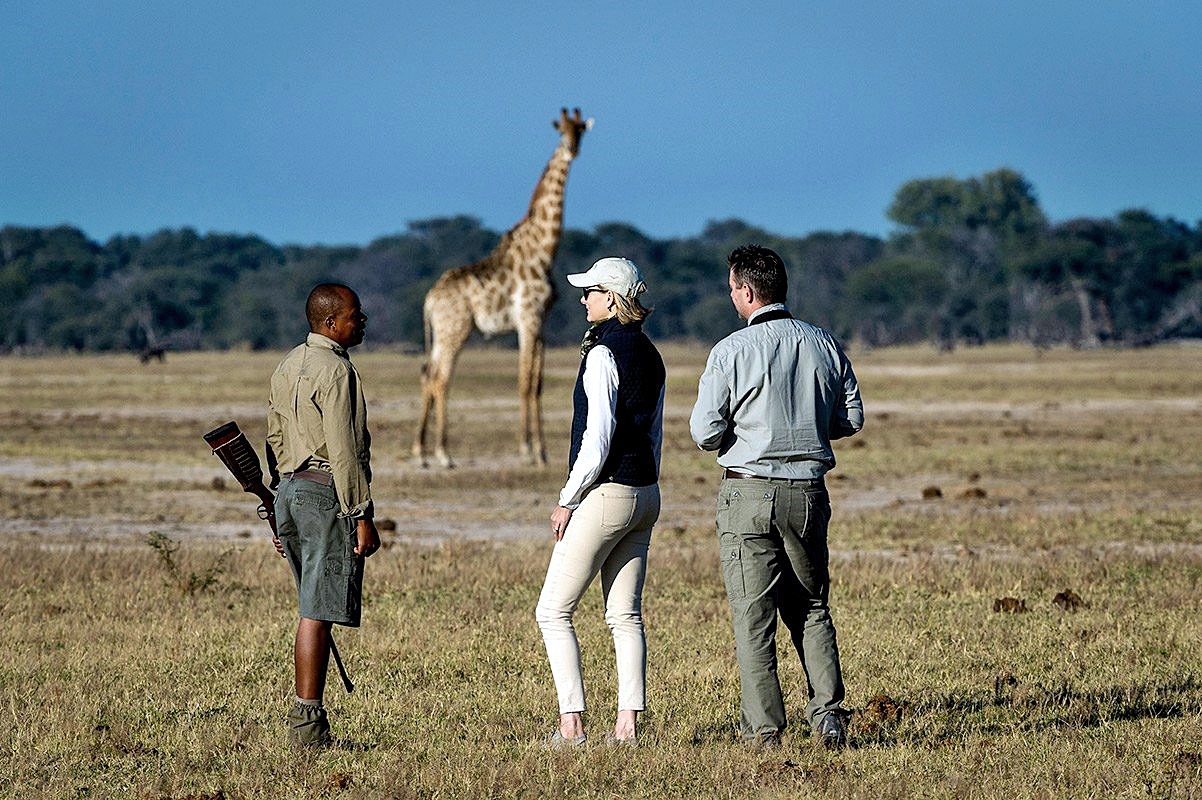 Linkwasha Camp en Hwange