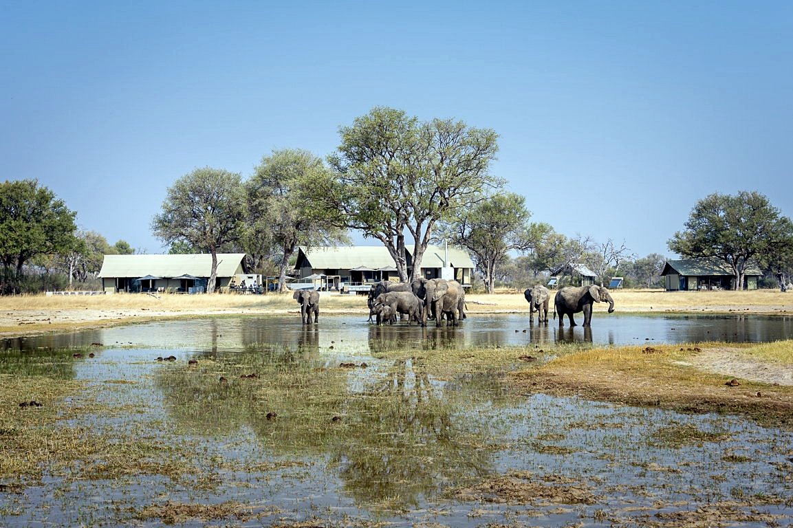 Linkwasha Camp en Hwange