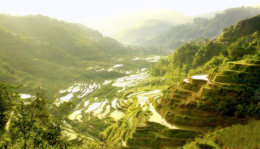 Ifugao | LAT.40