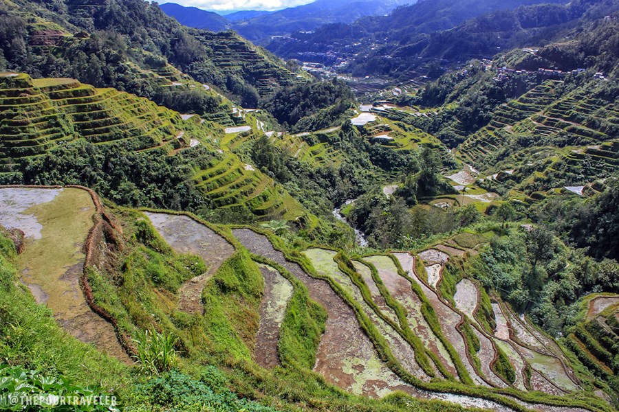 Ifugao | LAT.40