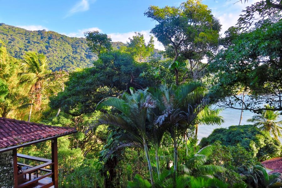 Atlantica Jungle Lodge en Isla grande