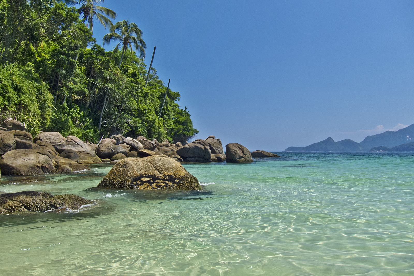 Isla grande | LAT.40