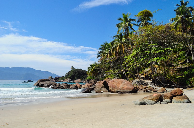 Isla grande | LAT.40