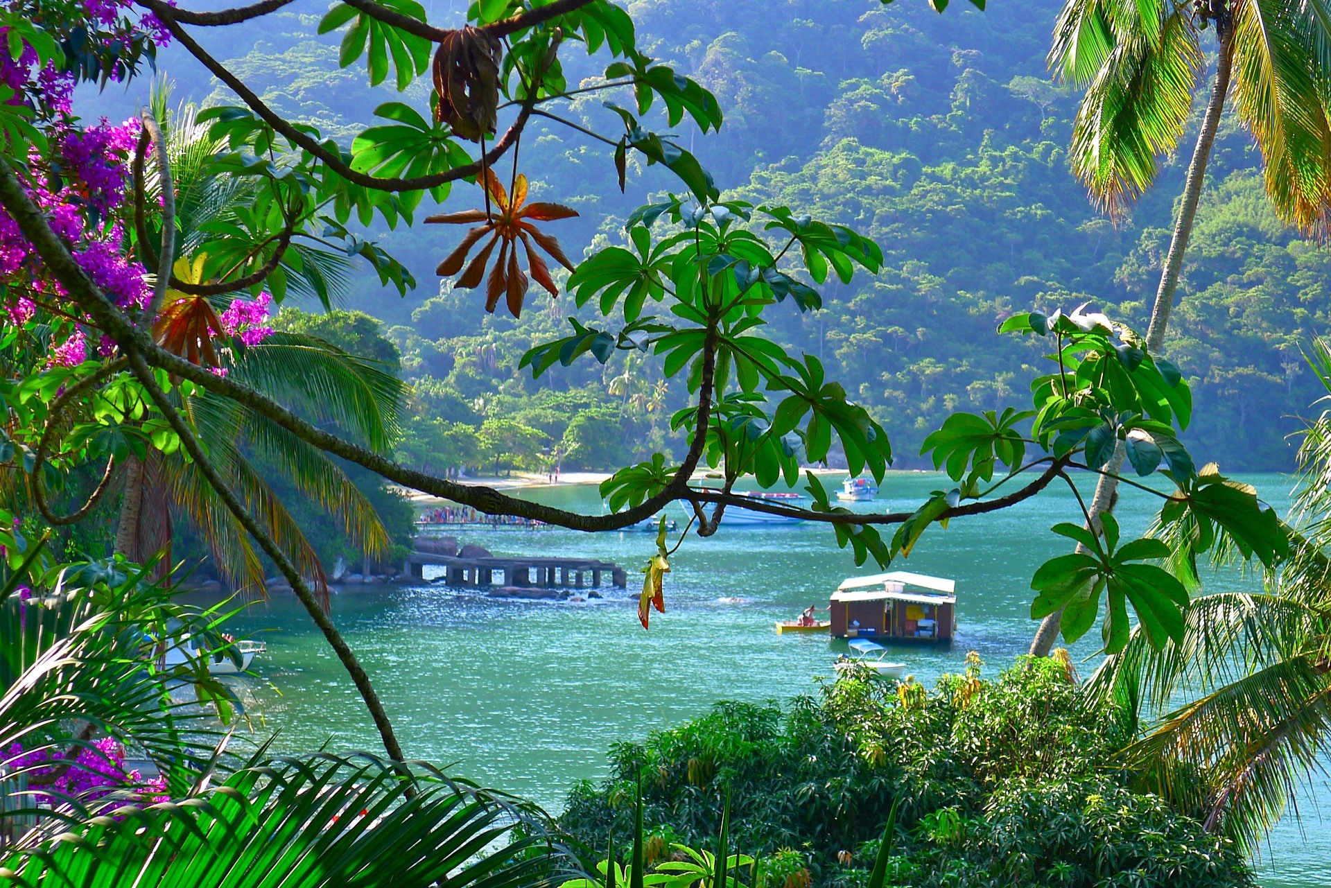 Isla grande | LAT.40