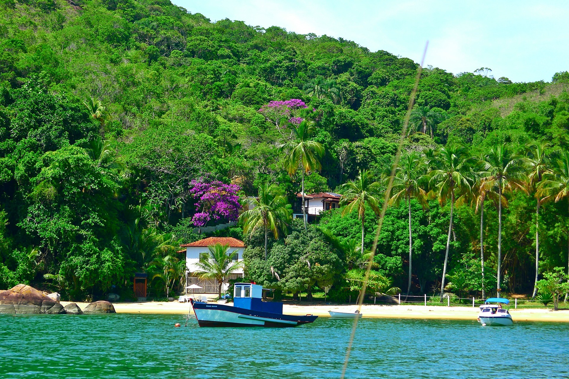 Isla grande | LAT.40