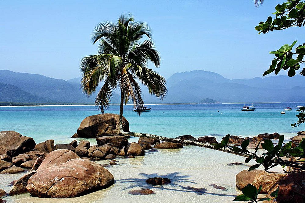 Isla grande | LAT.40