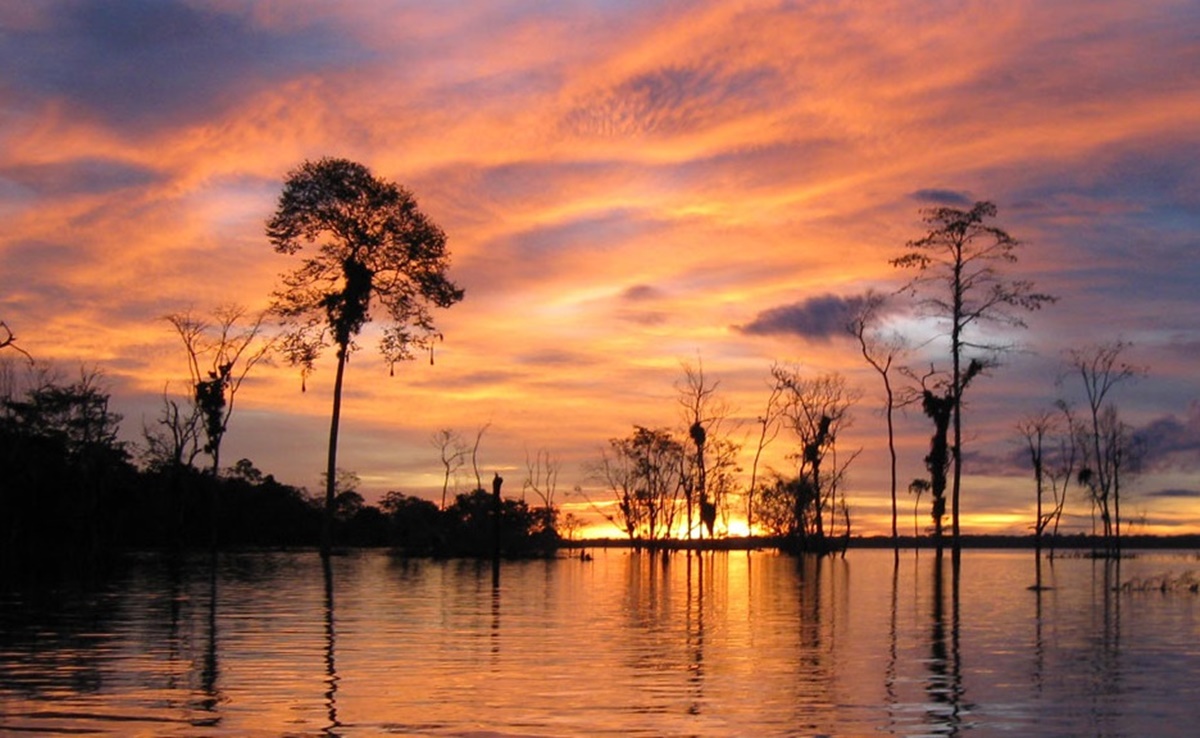 Iquitos | LAT.40