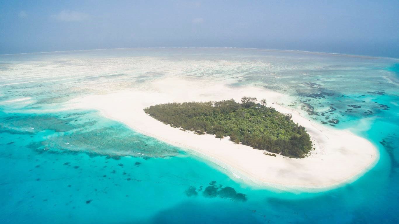 Isla de Mnemba | LAT.40