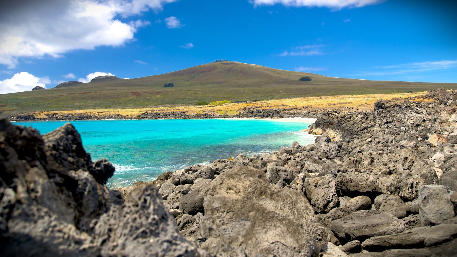 Isla de Pascua | LAT.40