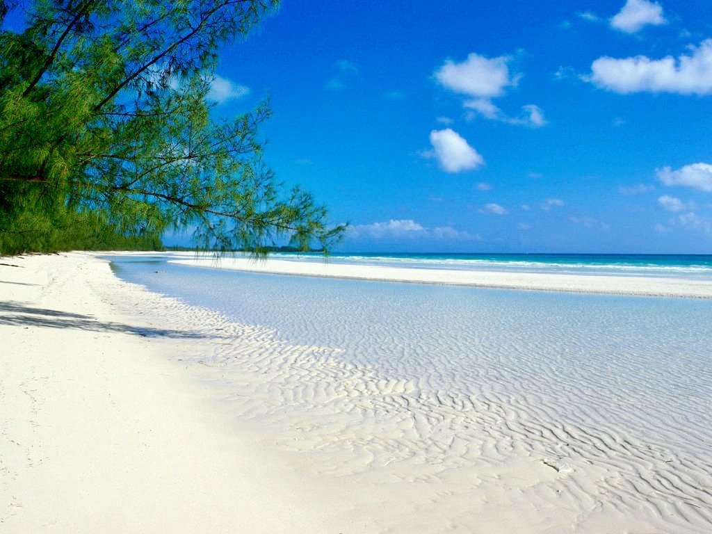 Isla de Pemba | LAT.40