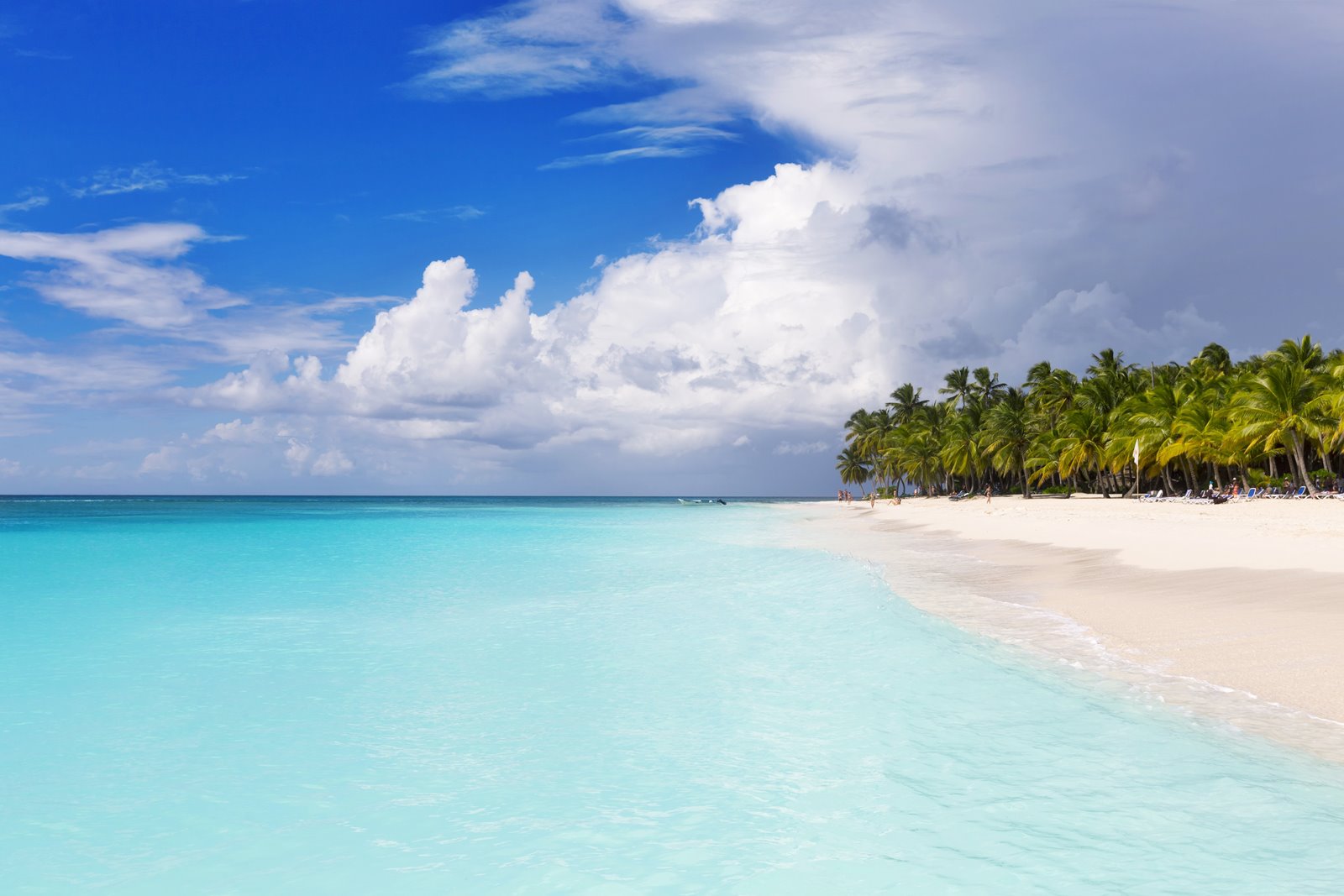 Isla Mauricio | LAT.40
