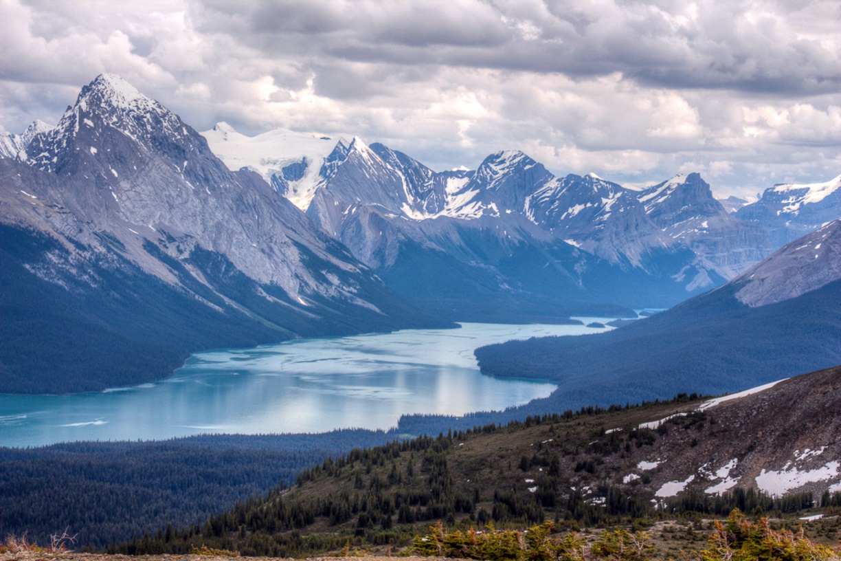 Jasper | LAT.40