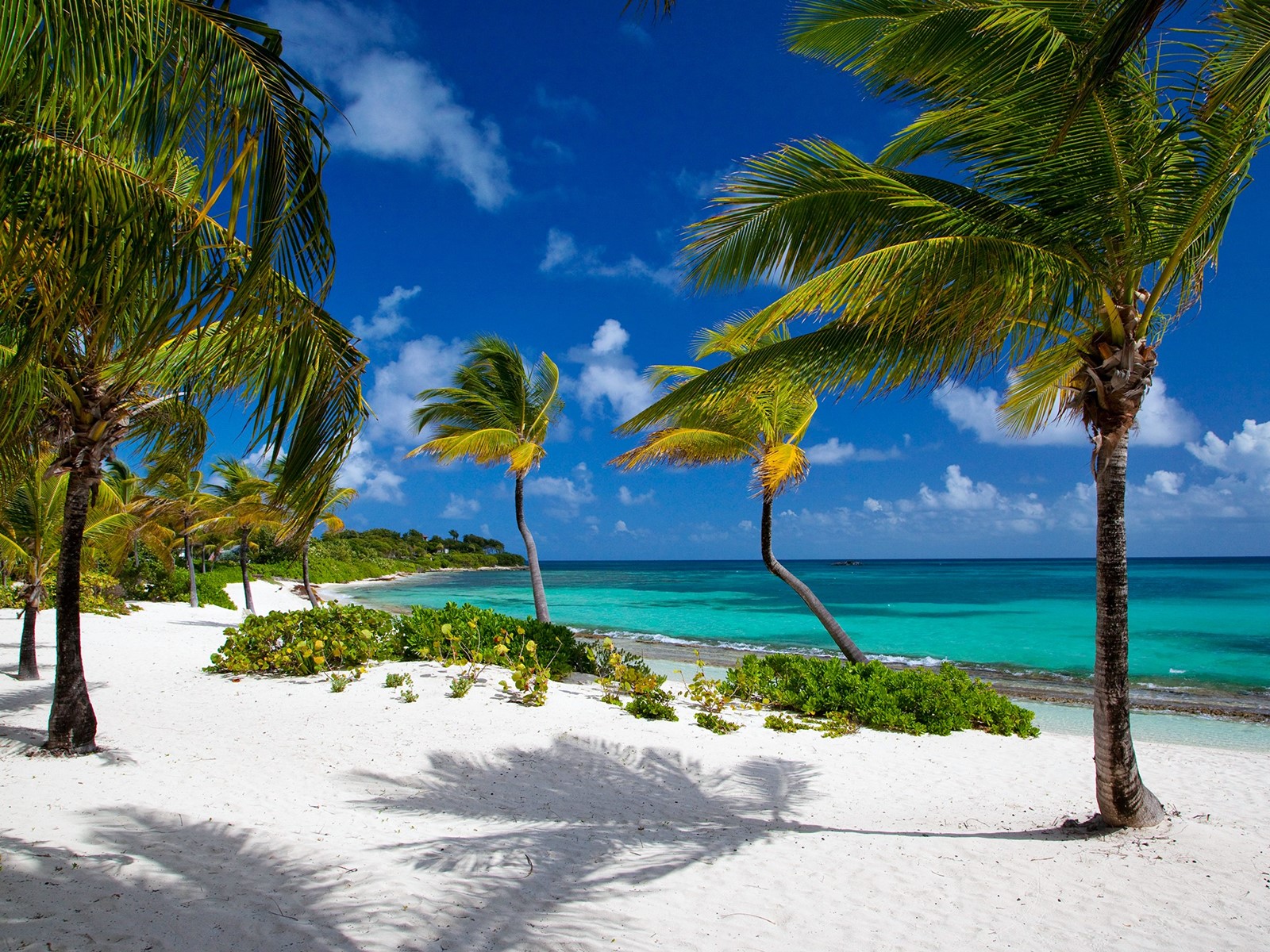 Jumby Bay Island Resort | LAT.40