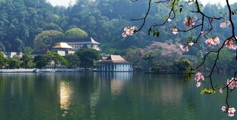 Kandy | LAT.40