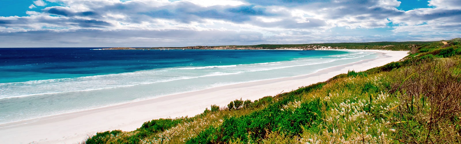 Kangaroo Island | LAT.40
