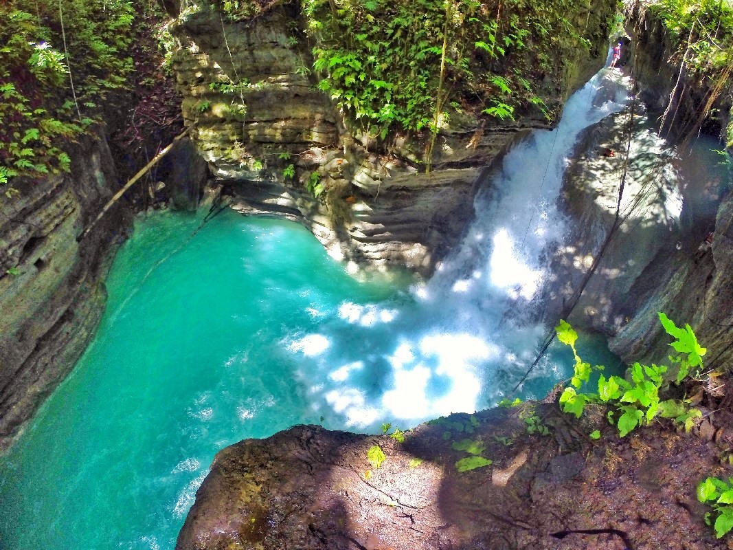 Kawasan Falls | LAT.40