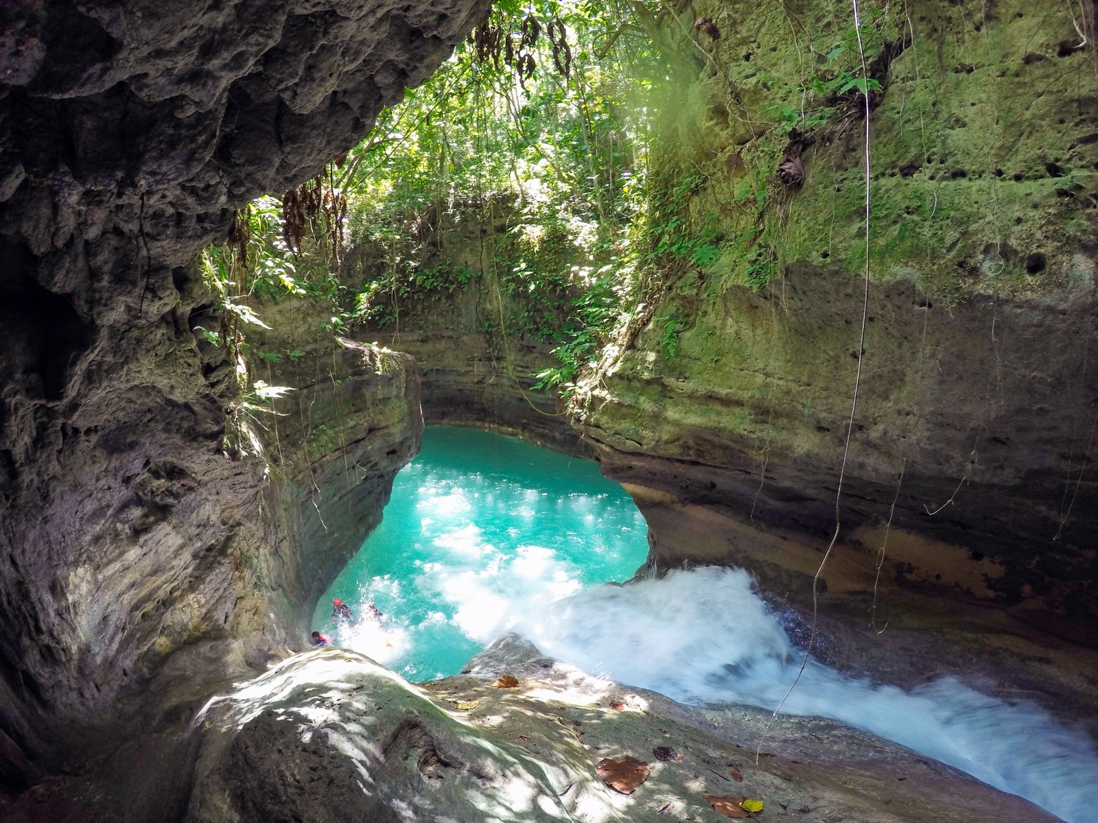Kawasan Falls | LAT.40