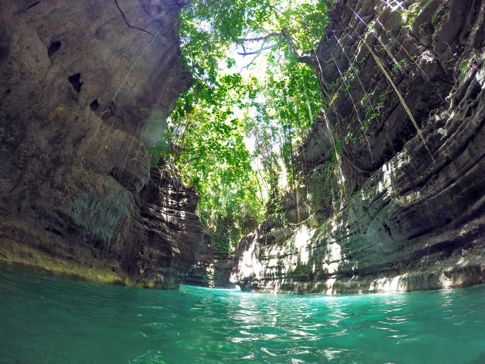 Kawasan Falls | LAT.40