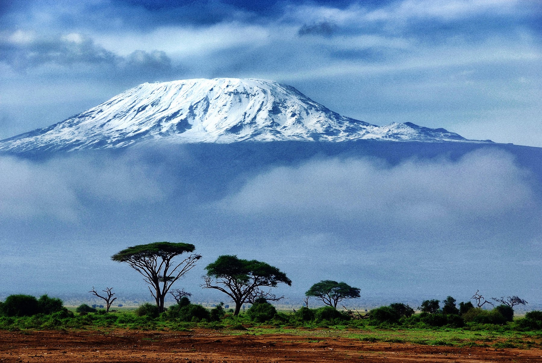 Kilimanjaro | LAT.40