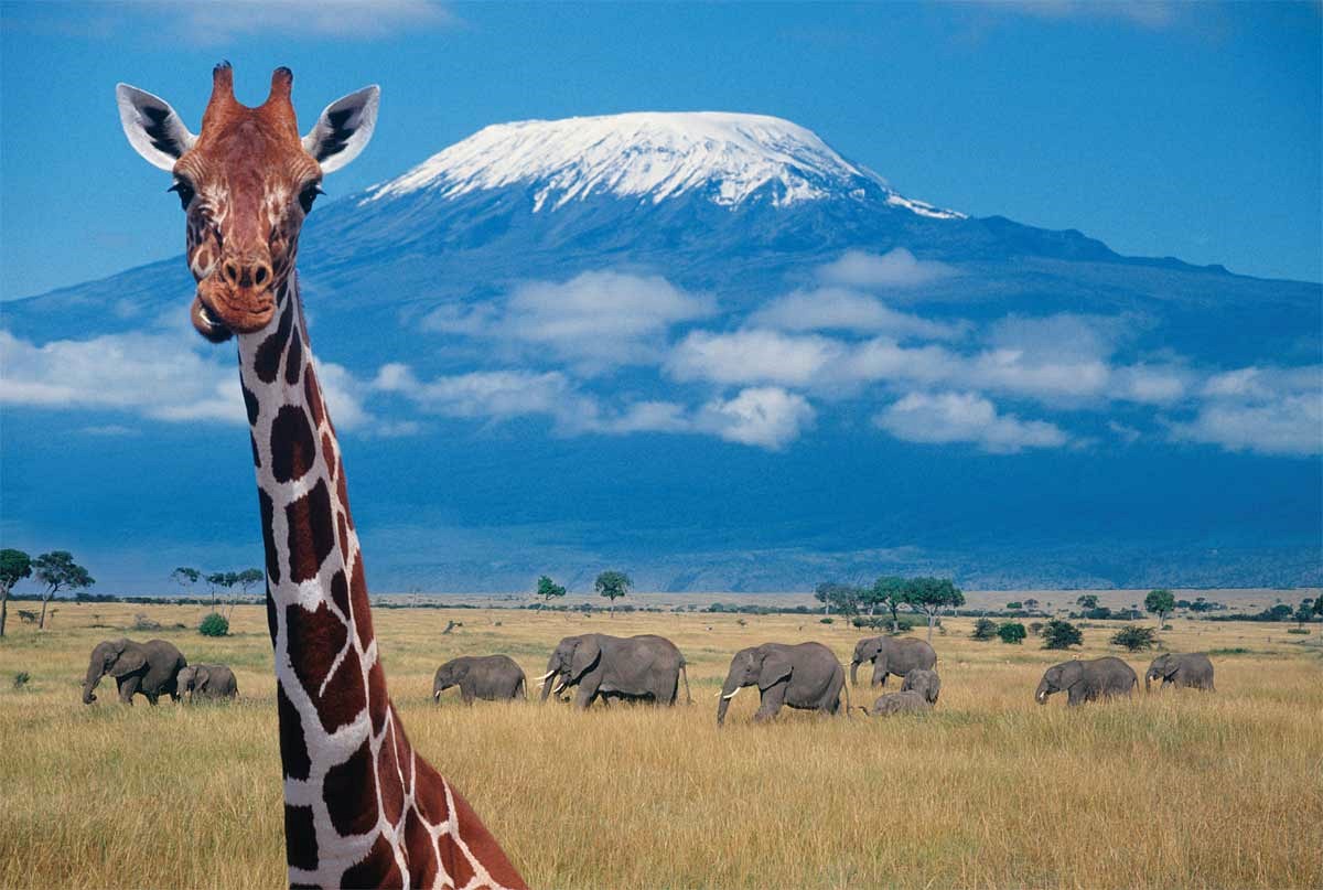 Kilimanjaro | LAT.40