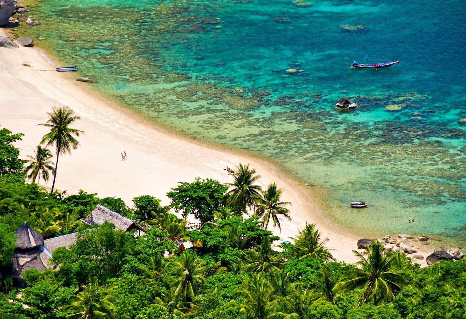 Koh Tao | LAT.40