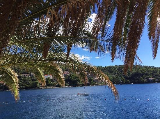 Korcula | LAT.40