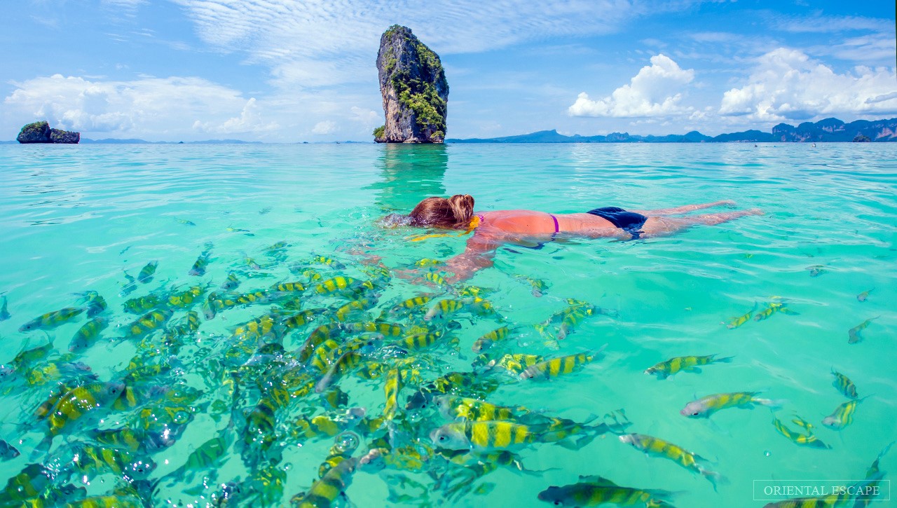 Krabi | LAT.40
