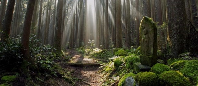 Kumano | LAT.40