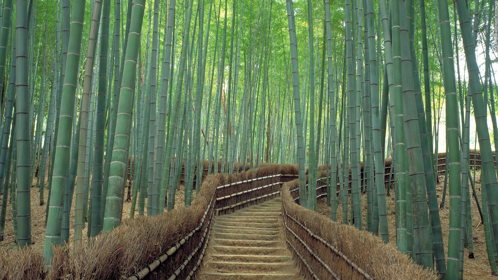 Kumano | LAT.40