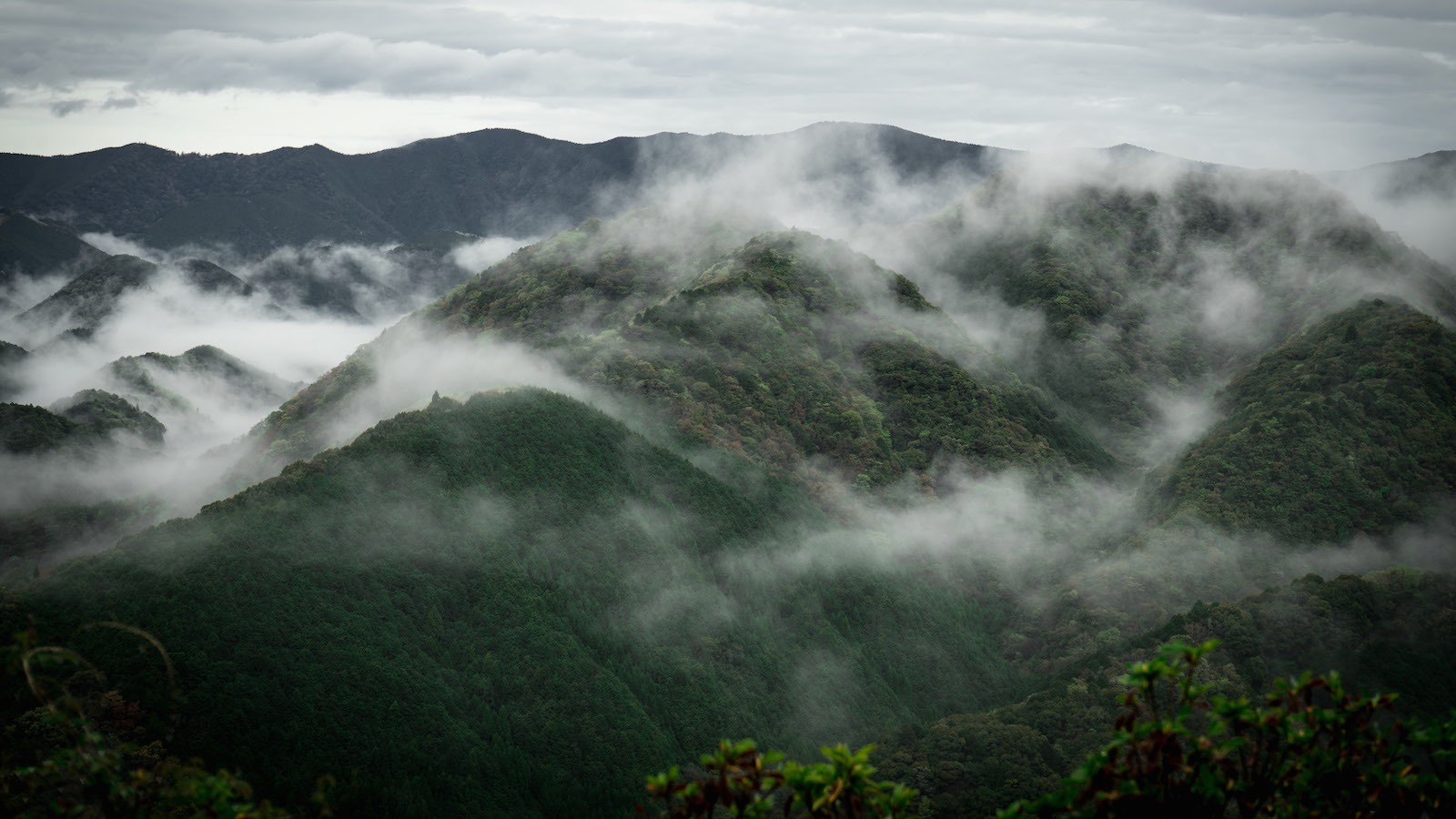 Kumano | LAT.40