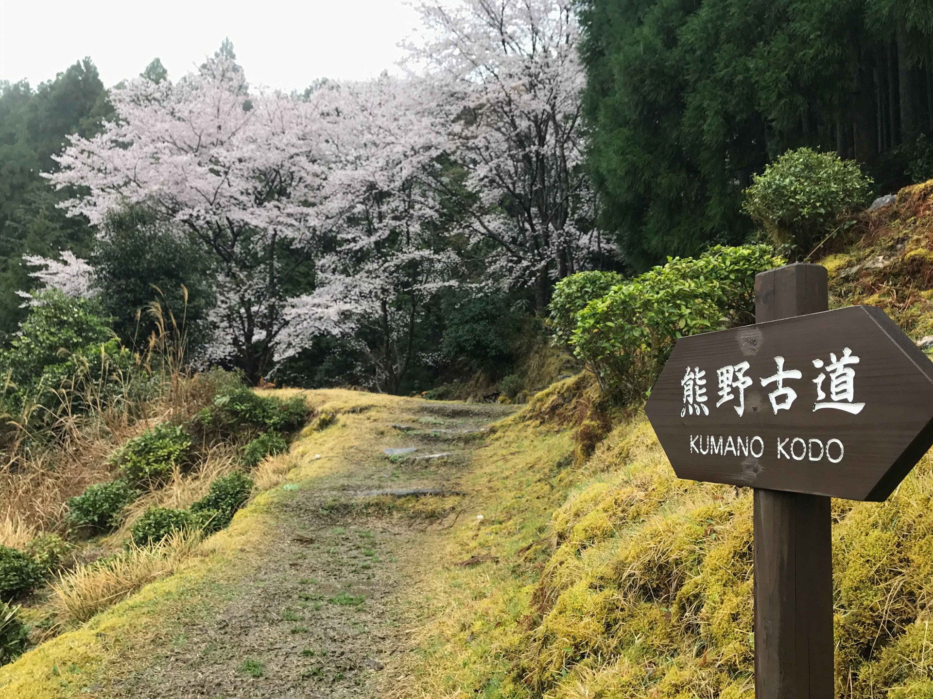 Kumano | LAT.40