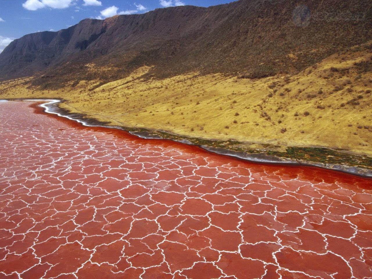Lago Natron | LAT.40