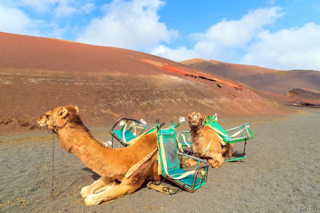 Lanzarote | LAT.40