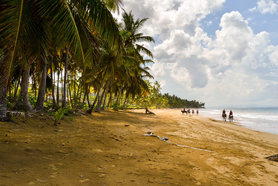 Las Terrenas | LAT.40
