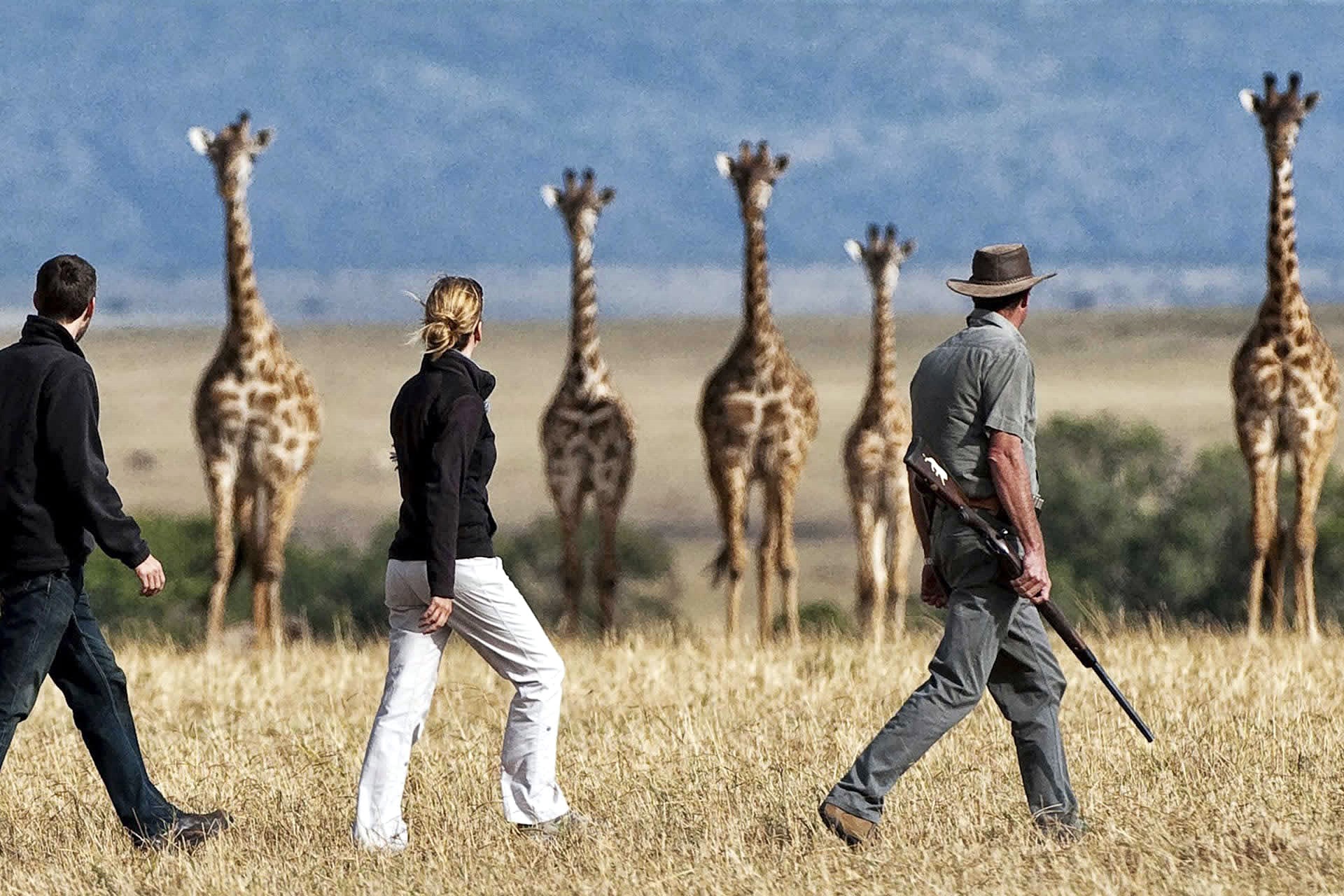 Luangwa Valley