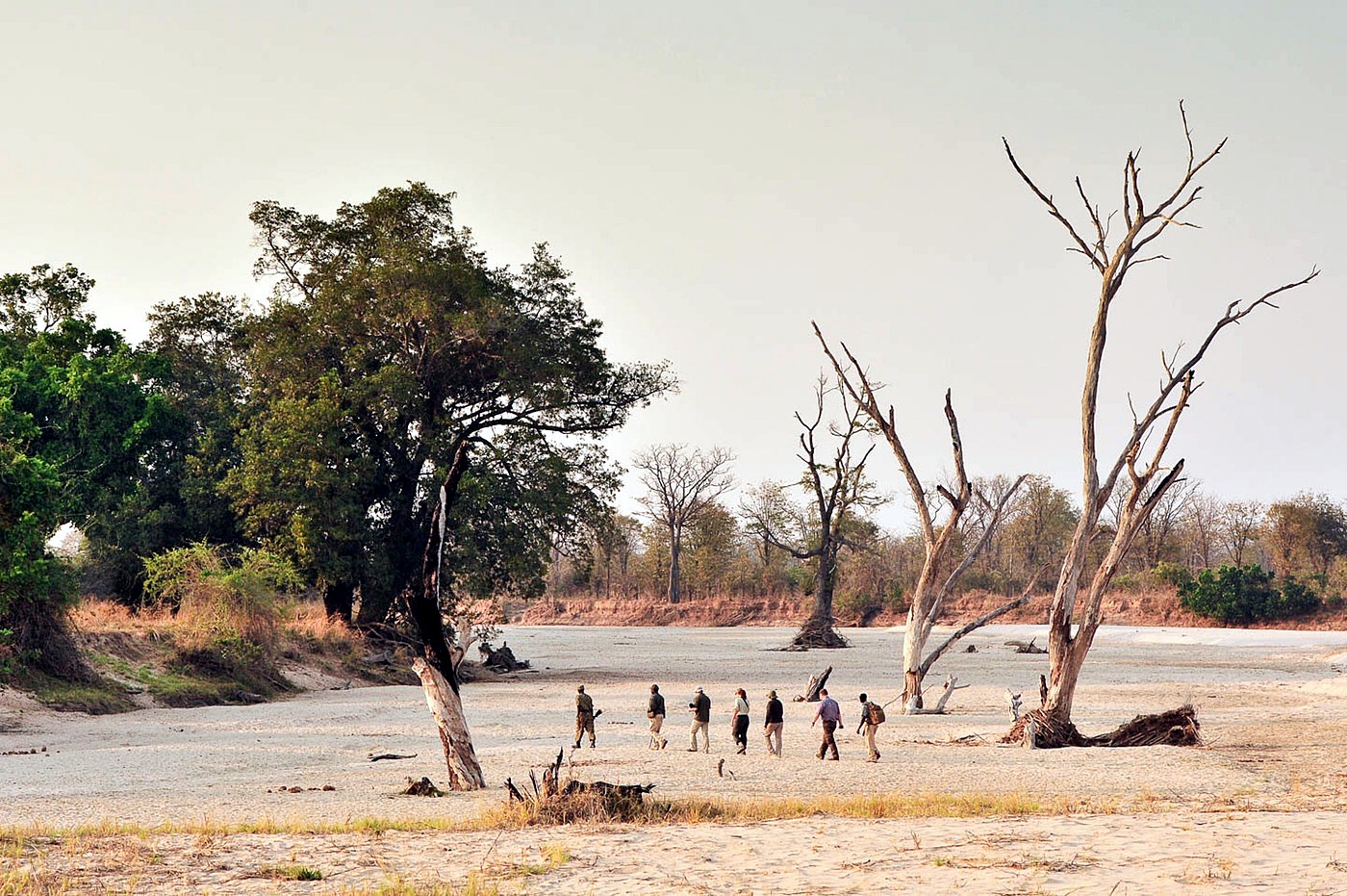 Luangwa Valley | LAT.40