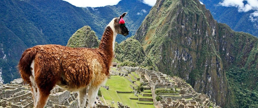 Imagen de viaje LAT.40