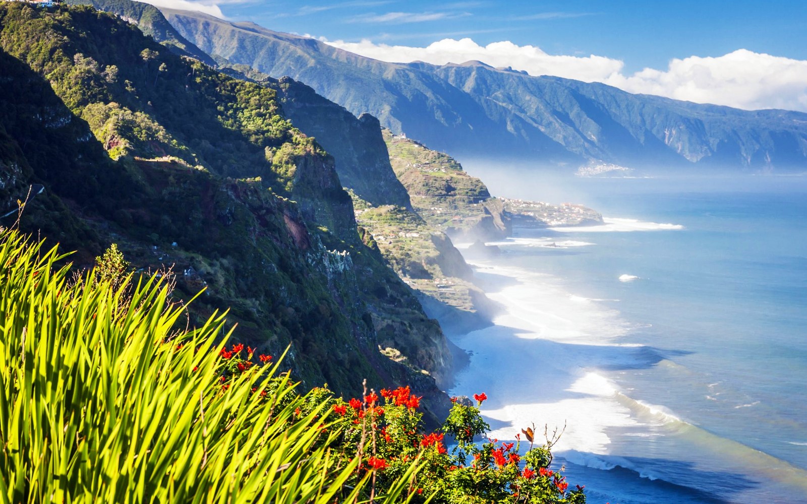 Madeira | LAT.40