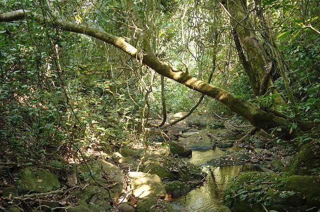 Imagen de viaje LAT.40