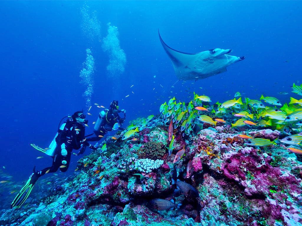 OZEN By Atmosphere en South Male Atoll
