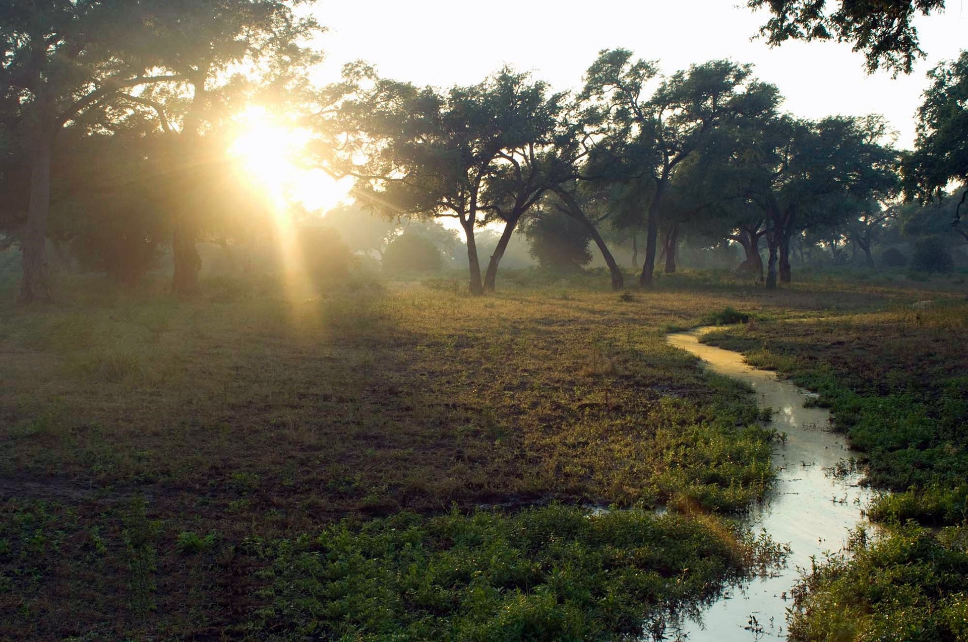 Mana Pools | LAT.40
