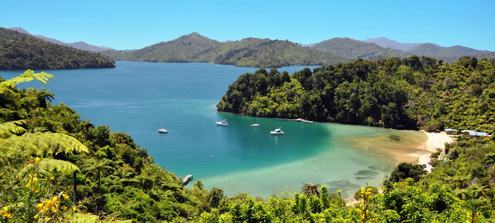 Marlborough Sounds | LAT.40