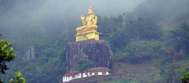 Matale | LAT.40