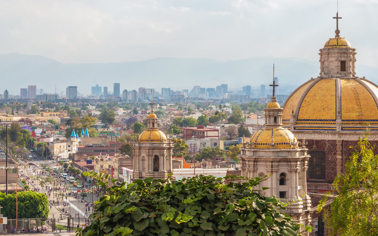 México | LAT.40