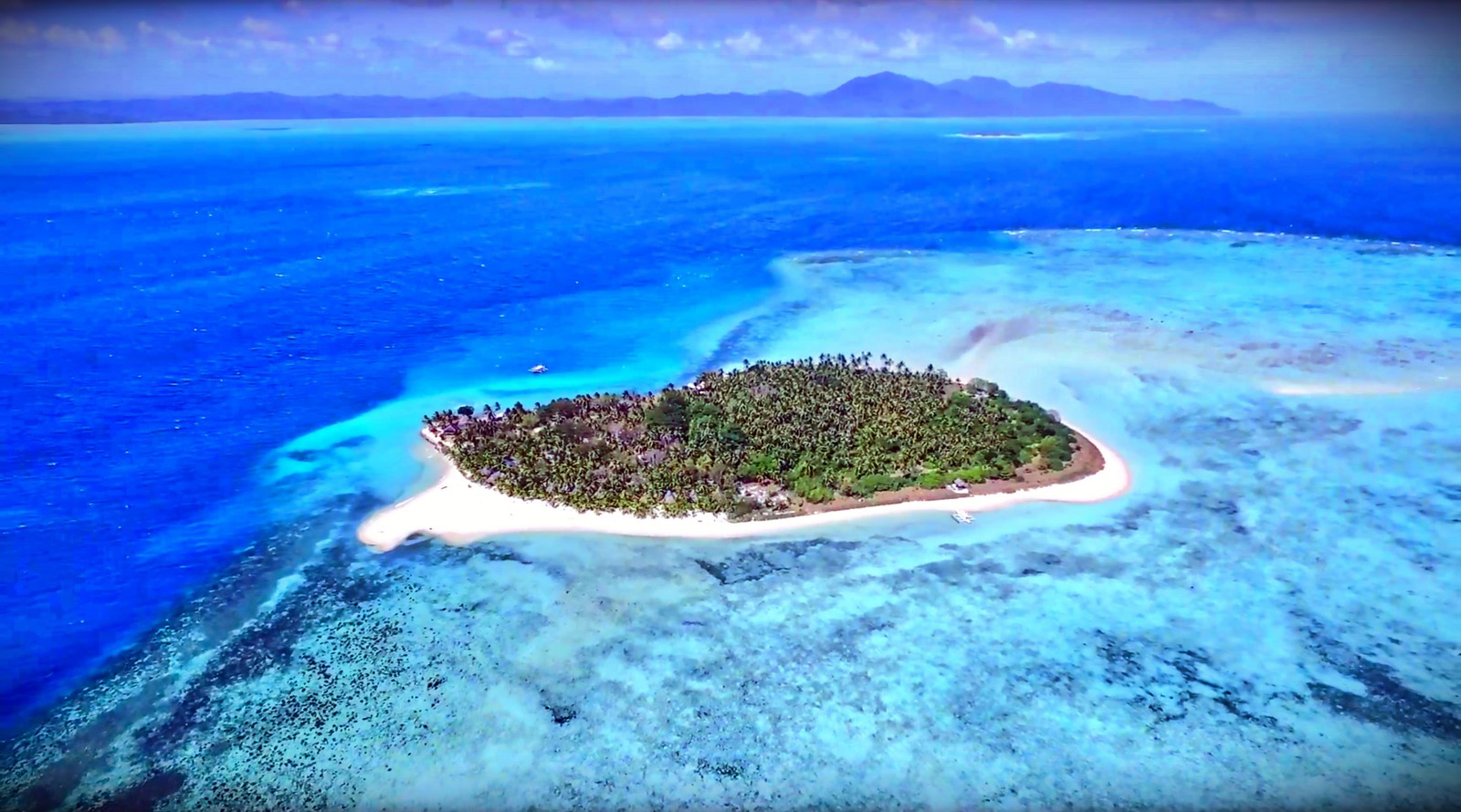 Modessa Island | LAT.40