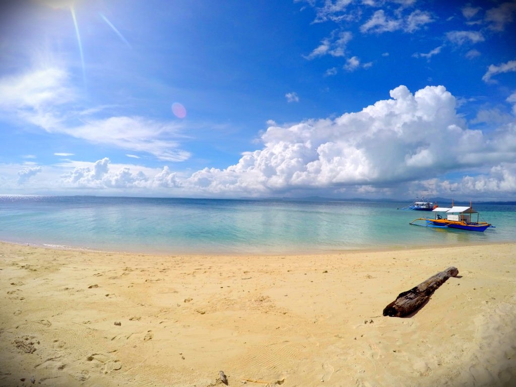 Modessa Island | LAT.40
