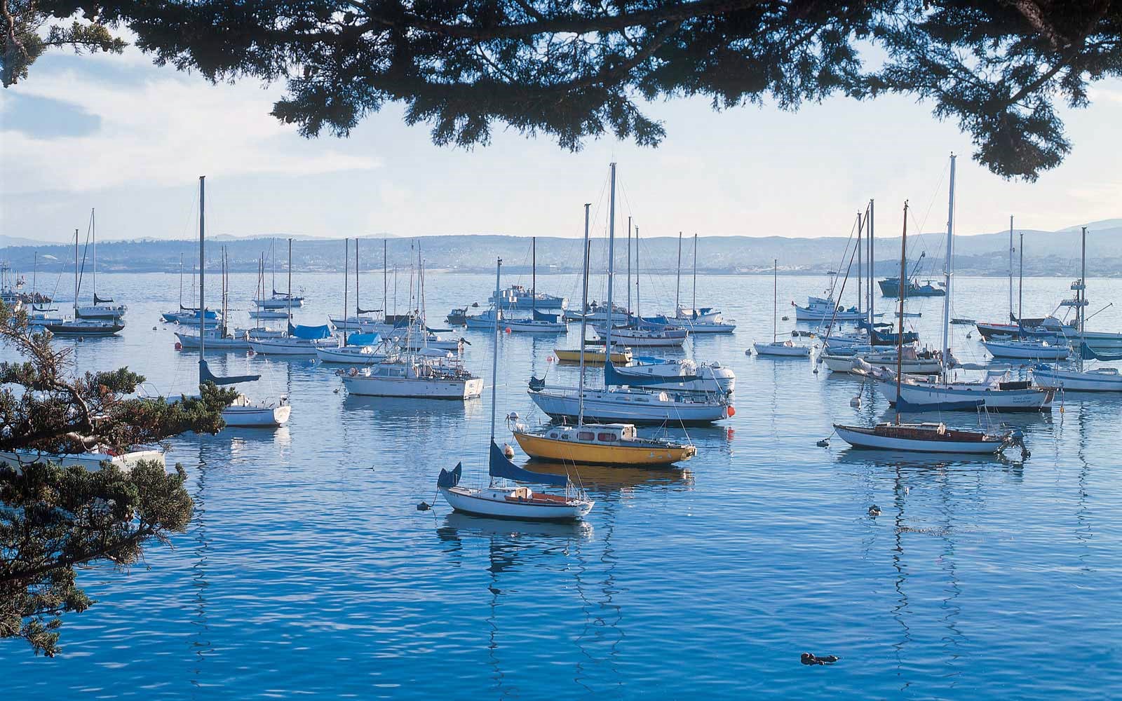 Monterey | LAT.40