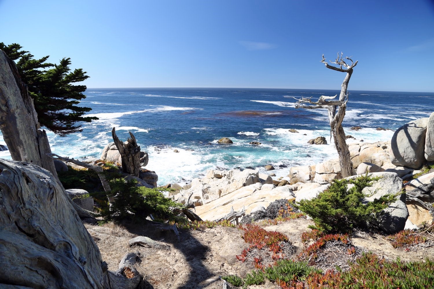 Monterey | LAT.40