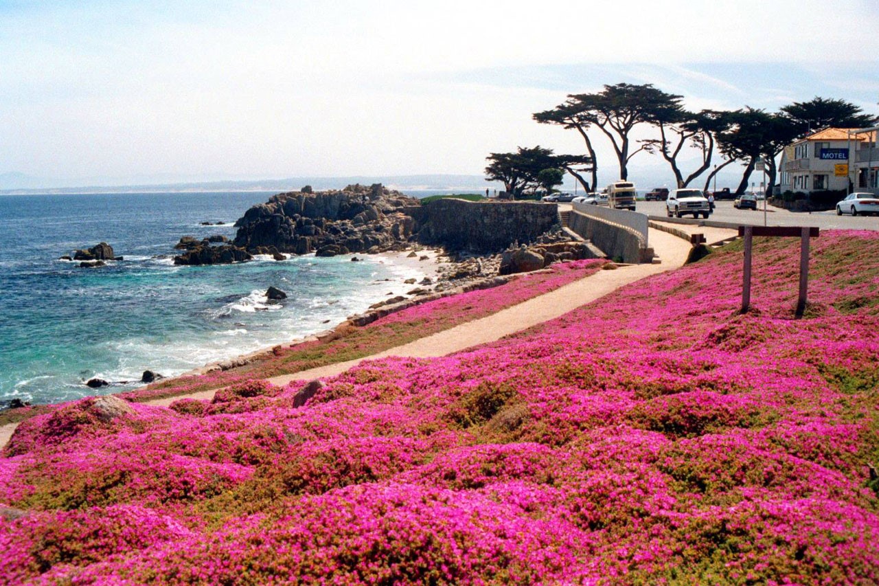 Monterey | LAT.40